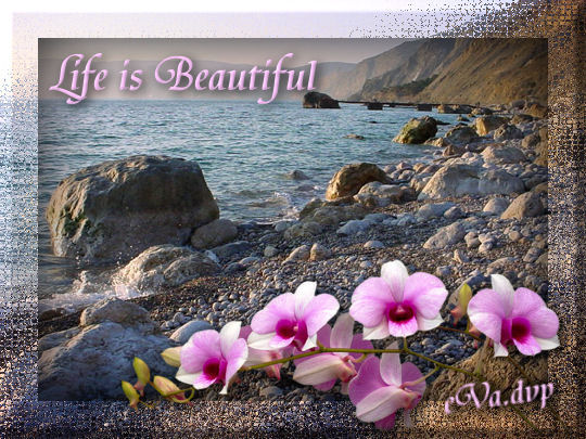 life_is_beautiful