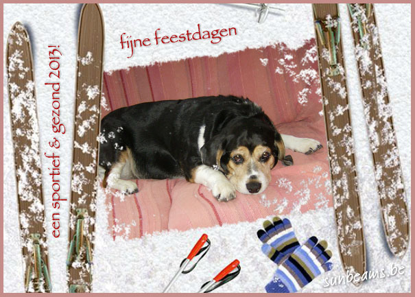 Terug naar ecard pagina