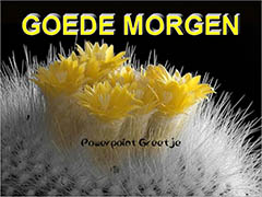 Flash movie - Goede Morgen